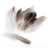 Maxbell WHOLESALE 9-13cm Duck Feathers for PARTY MASK MAKING 20PCS