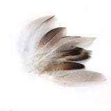 Maxbell WHOLESALE 9-13cm Duck Feathers for PARTY MASK MAKING 20PCS