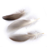 Maxbell WHOLESALE 9-13cm Duck Feathers for PARTY MASK MAKING 20PCS