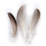 Maxbell WHOLESALE 9-13cm Duck Feathers for PARTY MASK MAKING 20PCS