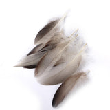 Maxbell WHOLESALE 9-13cm Duck Feathers for PARTY MASK MAKING 20PCS