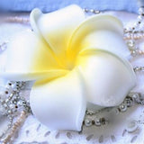 Women Girls Ladies Plumeria Flower Foam Hair Clip Pin Headwear Hair Accessory White