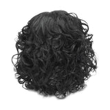 14" Elegant Women Short Fluffy Kinky Wavy Curly Synthetic Hair Wigs Black - Aladdin Shoppers