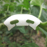 Maxbell 100pcs Tomato Truss Garden Plant Support Fixing Clip for Trellis melon Vine