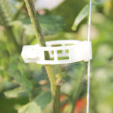 Maxbell 100pcs Tomato Clips Connect Pepper Cucumber Vines to Trellis Twine DIY
