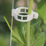 Maxbell 100pcs Tomato Clips Connect Pepper Cucumber Vines to Trellis Twine DIY