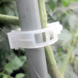 Maxbell 100pcs Tomato Clips Connect Pepper Cucumber Vines to Trellis Twine DIY