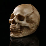 Maxbell Homosapiens Skull Figurine Human Skeleton Head Decor Antique Yellow