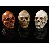 Maxbell Homosapiens Skull Figurine Human Skeleton Head Decor Antique Yellow