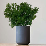 Maxbell Green Artificial Plastic Plant 6 Branches Parsley Grass Home Wedding Decor
