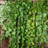 2Pcs Artificial Wall Hanging Ivy Vine Foliage Plant Decor Watermelon Leaf