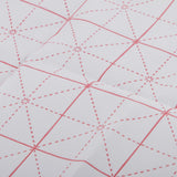 Maxbell Gridded Magic Cloth Water Writing Cloth Chinese Calligraphy Graffiti Kanji