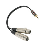 Maxbell 3.5mm (Mini) 1/8'' TRS Stereo Male to 2 Port Dual XLR Female Adapter Cable Cord Connecting for iPhone, iPad, or any 3.5mm Audio Output to a Powered Speaker