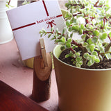 Maxbell 5Pcs Wooden Base Memo Photo Holder Card Paper Note Clip Wedding Place Holder