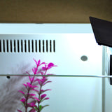 Maxbell 5W LED Aquarium Light Arm Clip on Plant Grow Fish Tank Lighting Lamp-White Light EU Plug 220V