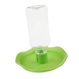 Maxbell Reptile Water Drinker Dispenser Food Stand Lizard Feeder Dish Bowl Bottle