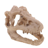 Maxbell Resin Emulational Dinosaur Skull Aquarium Decoration Fish Tank Ornament NEW