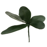 Maxbell 1 XGreen Faux Butterfly Orchid Leaf Simulation Grass For Wedding Home Decor