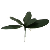 Maxbell 1 XGreen Faux Butterfly Orchid Leaf Simulation Grass For Wedding Home Decor