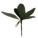 Maxbell 1 XGreen Faux Butterfly Orchid Leaf Simulation Grass For Wedding Home Decor