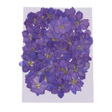 Maxbell 1 Set of 50PCS Pressed Dried Flowers For Art Craft Scrapbooking Home Floral Decoration Phone Case DIY Blue Delphinium