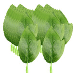 Maxbell 50 Pieces Fake Leaves Artificial Rose Leaf Leaves For Bouquet Garland Wedding Decorations