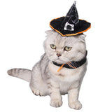 Maxbell Pet Cat Dog Wizard Hat Halloween Christmas Xmas Party Holiday Dress Up Costume Apparel