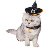 Maxbell Pet Cat Dog Wizard Hat Halloween Christmas Xmas Party Holiday Dress Up Costume Apparel