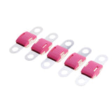 Maxbell 5 Pieces Heavy Duty Car Van Truck Boat Midi Strip Link 125A Fuses Rose Red