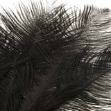 Maxbell Vintage Black Feather Crystal Headband Charleston Headpiece Women's Flapper Fancy Dress