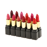 Maxbell 12 Colors Beauty Cosmetic Matte Lipstick Makeup Set Long Lasting Lip Stick