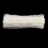 Maxbell 1 Yard Artificial Pearl Beaded Mesh Ribbon Lace Trim Embellished for Dance Clothes DIY Craft Supply