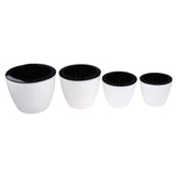 Maxbell Self Watering Grow Outdoor Indoor Window Sill Garden. Perfect for Potting Smaller House Plants, Herbs, African Violets, Succulents, Flowers or Start Seedlings