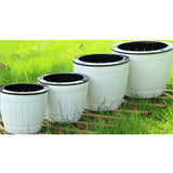 Maxbell Self Watering Grow Outdoor Indoor Window Sill Garden. Perfect for Potting Smaller House Plants, Herbs, African Violets, Succulents, Flowers or Start Seedlings