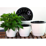 Maxbell Self Watering Grow Outdoor Indoor Window Sill Garden. Perfect for Potting Smaller House Plants, Herbs, African Violets, Succulents, Flowers or Start Seedlings