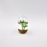 Maxbell Chic Plastic Aquarium Coconut Trees Fish Tank Plants Ornament Decoration 1pcs