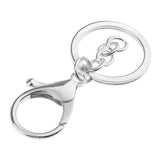 Maxbell 10 Pieces Lobster Snap Trigger Swivel Clips Hook Clasps Keychain Key Ring Plated Silver With the chain