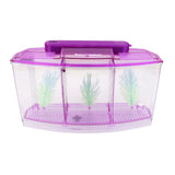Maxbell Acrylic LED Aquarium Fish Tank Isolation Box Hatchery Incubator Box Crystal Purple 28x10x15cm