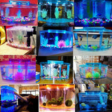Maxbell Acrylic LED Aquarium Fish Tank Isolation Box Hatchery Incubator Box Crystal Purple 28x10x15cm