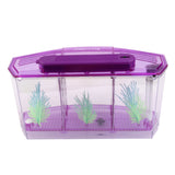 Maxbell Acrylic LED Aquarium Fish Tank Isolation Box Hatchery Incubator Box Crystal Purple 28x10x15cm
