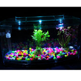 Maxbell Acrylic LED Aquarium Fish Tank Isolation Box Hatchery Incubator Box Crystal Purple 28x10x15cm