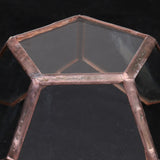 Maxbell Open Clear Glass Geometric Terrarium Tabletop Succulent Indoor Plants Container Table Vase