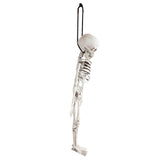 Maxbell Skeleton Bone Skull for Halloween Prop Fancy Dress Party Haunted House Décor