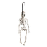 Maxbell Skeleton Bone Skull for Halloween Prop Fancy Dress Party Haunted House Décor