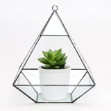 Maxbell Glass Pyramid Shape Clear Tabletop Succulent Plant Terrarium Box Hanging Planter Flower Fern Moss Pot