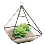 Maxbell Glass Pyramid Shape Clear Tabletop Succulent Plant Terrarium Box Hanging Planter Flower Fern Moss Pot