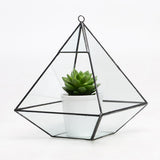 Maxbell Glass Pyramid Shape Clear Tabletop Succulent Plant Terrarium Box Hanging Planter Flower Fern Moss Pot