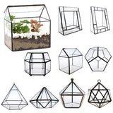 Maxbell Glass Pyramid Shape Clear Tabletop Succulent Plant Terrarium Box Hanging Planter Flower Fern Moss Pot