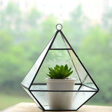 Maxbell Glass Pyramid Shape Clear Tabletop Succulent Plant Terrarium Box Hanging Planter Flower Fern Moss Pot