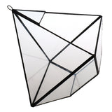 Maxbell Glass Pyramid Shape Clear Tabletop Succulent Plant Terrarium Box Hanging Planter Flower Fern Moss Pot